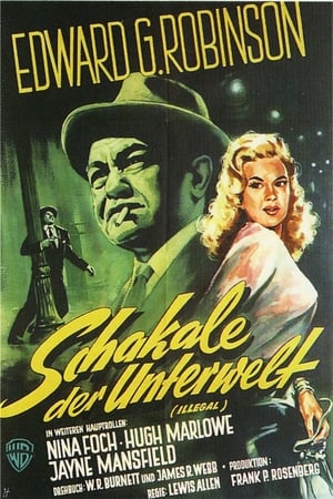 Poster Schakale der Unterwelt 1955