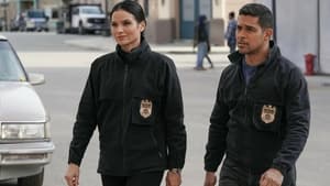 NCIS: Investigação Naval: 20×14