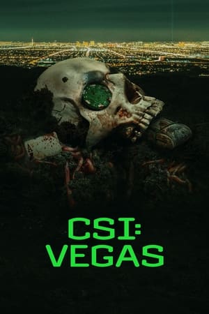 CSI: Vegas 1ª Temporada Torrent (2021) Legendado WEB-DL 1080p – Download