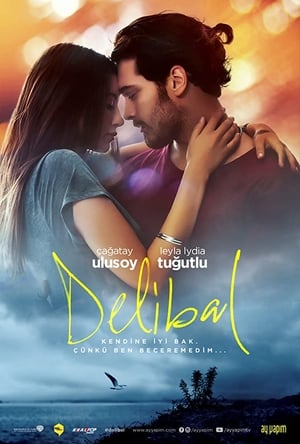 Poster Delibal 2015