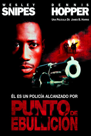 Poster Boiling Point (Punto de ebullición) 1993