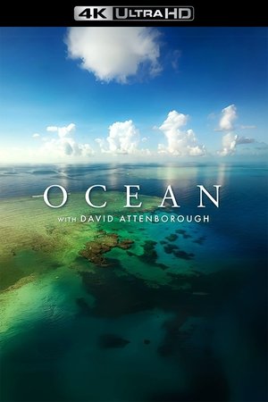 poster Ocean with David Attenborough