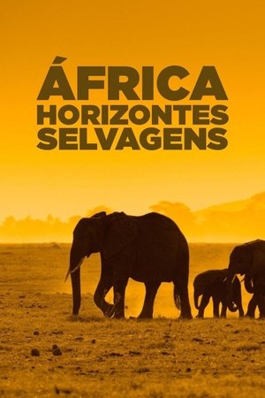 Image Africa's Wild Horizons