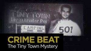 Crime Beat The Tiny Town Mystery