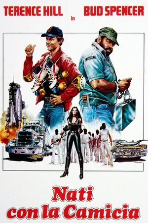 <Images posters