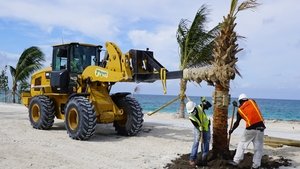 Building Paradise Island Marine Reboot