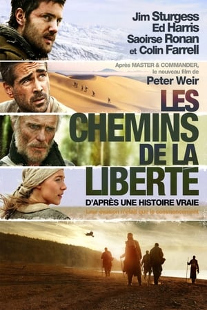 Poster Les Chemins de la Liberté 2010
