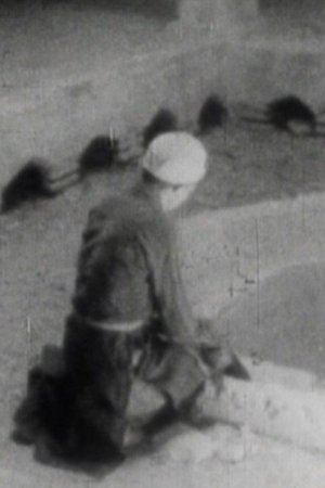 From Isfahan to Abarkooh