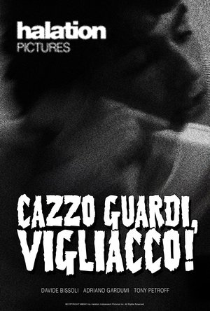 Póster oficial de la película Cazzo guardi, vigliacco!