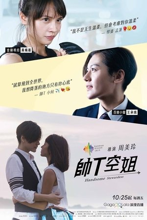 Poster Handsome Stewardess 2019