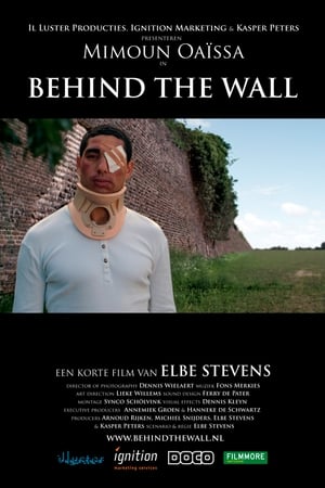 Image Behind the Wall