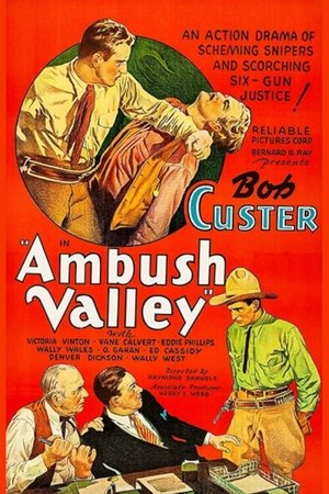 Ambush Valley poster