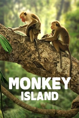Ilha dos Macacos
