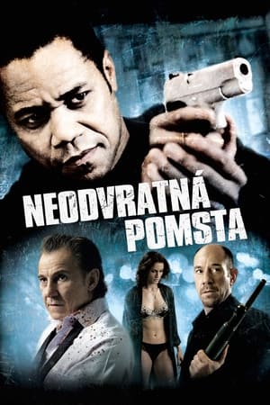 Poster Neodvratná pomsta 2009