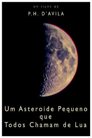 Poster A Little Asteroid Called Moon (2020)