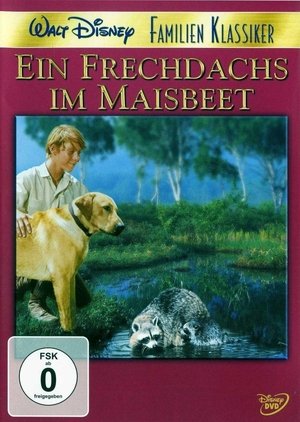 Rascal - Ein Frechdachs im Maisbeet (1969)