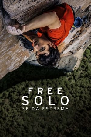 Poster Free Solo - Sfida estrema 2018