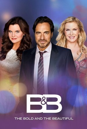 poster The Bold and the Beautiful - Season 17 Episode 214 : #4222