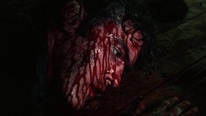 The Evil Dead