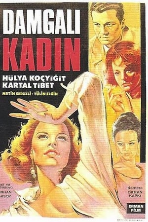 Damgalı Kadın poster