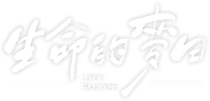 生命的麥田 — Logos 1