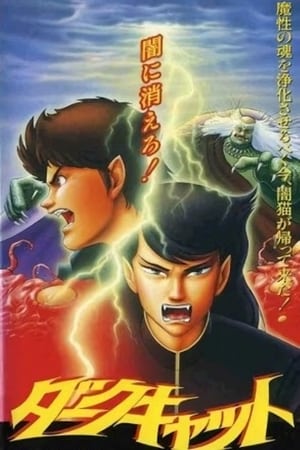 Poster 暗黑之猫 1991