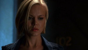 CSI: Crime Scene Investigation: 8×14