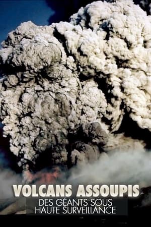 Póster oficial de la película Schlafende Riesen - Die Macht der Vulkane