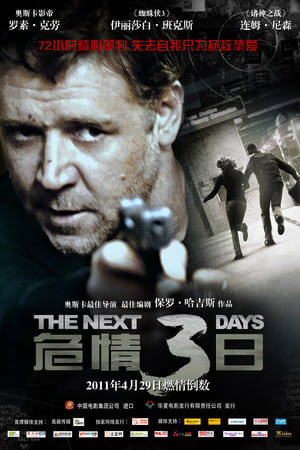 Poster 危情三日 2010