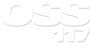 OSS 117: Cairo, Nest of Spies