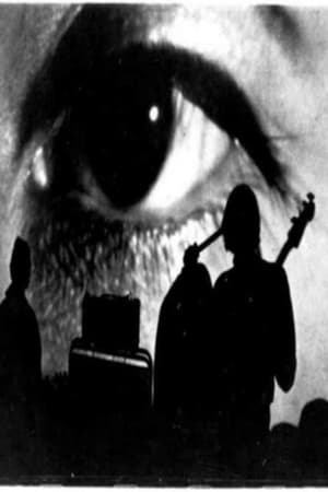 The Velvet Underground: Psychiatrist's Convention, NYC, 1966 1966
