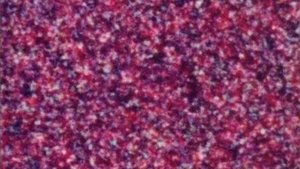 Pneuma Online En Netflix