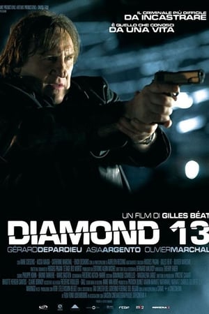 Poster Diamond 13 2009
