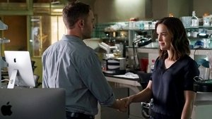 Marvel’s Agents of S.H.I.E.L.D.: 3×11