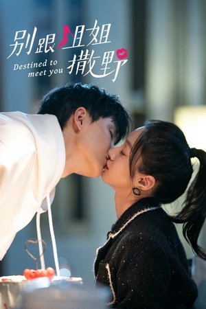 Poster Destined to Meet You Musim ke 1 Episode 14 2022