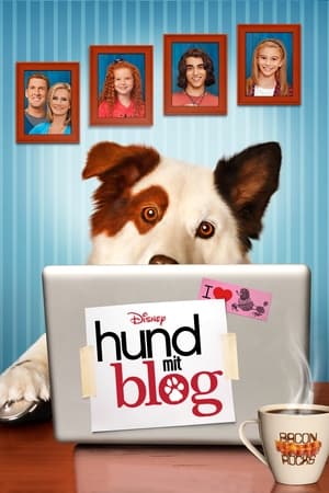 Poster Hund mit Blog 2012