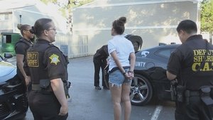 Live PD: Police Patrol No. 140