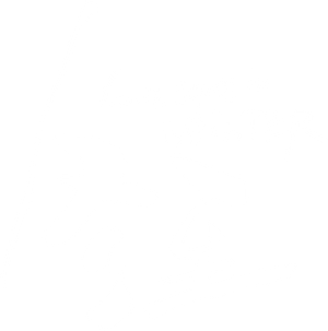 Ảnh 51