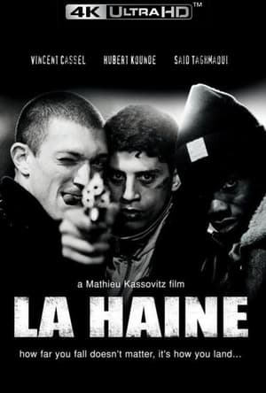 Poster La Haine (1995)