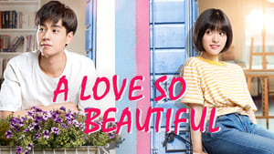 poster A Love So Beautiful