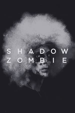 Poster Shadow Zombie (2013)