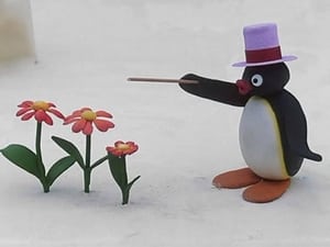 Pingu Pingu's Wish