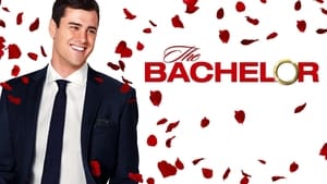 poster The Bachelor