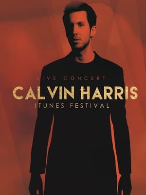 Poster Calvin Harris - Live at iTunes Festival 2012 (2012)
