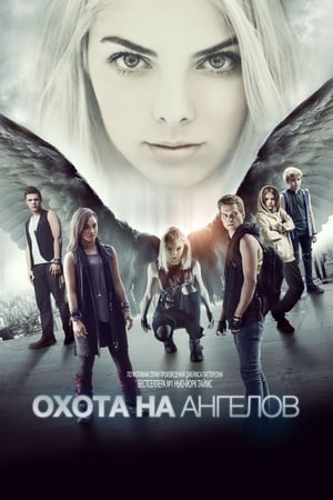Poster Охота на ангелов 2016