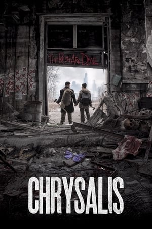 Poster Chrysalis 2014