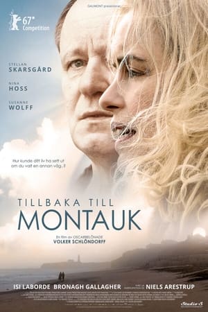 Image Tillbaka Till Montauk