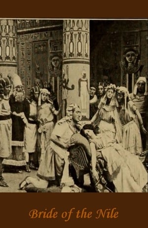 La sposa del Nilo poster