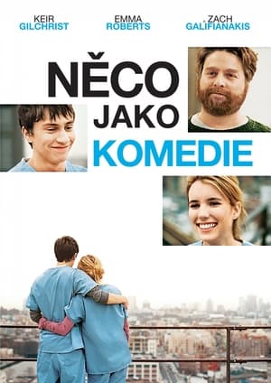 Poster Něco jako komedie 2010