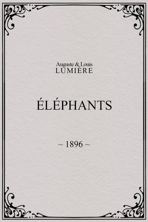 Nonton film Elephants (1896) terbaru sub indo Nonton film Elephants (1896) terbaru sub indo